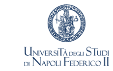 Logo Università degli studi di Napoli Federico II 